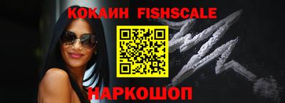крисы Кулебаки