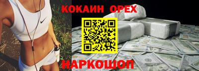 крисы Кулебаки