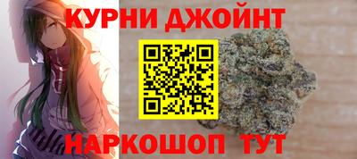 крисы Кулебаки