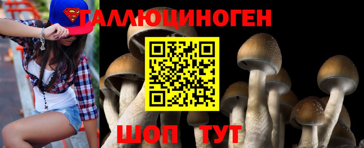 Псилоцибиновые грибы GOLDEN TEACHER Ивантеевка